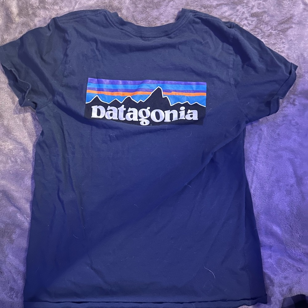 patagonia tee💙